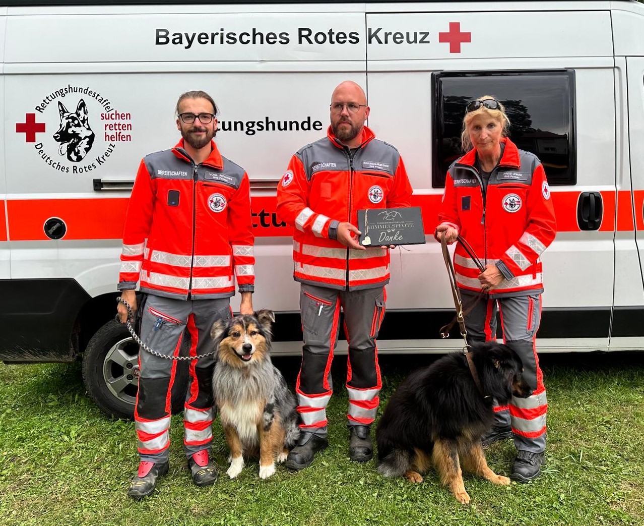 zu den Bildern